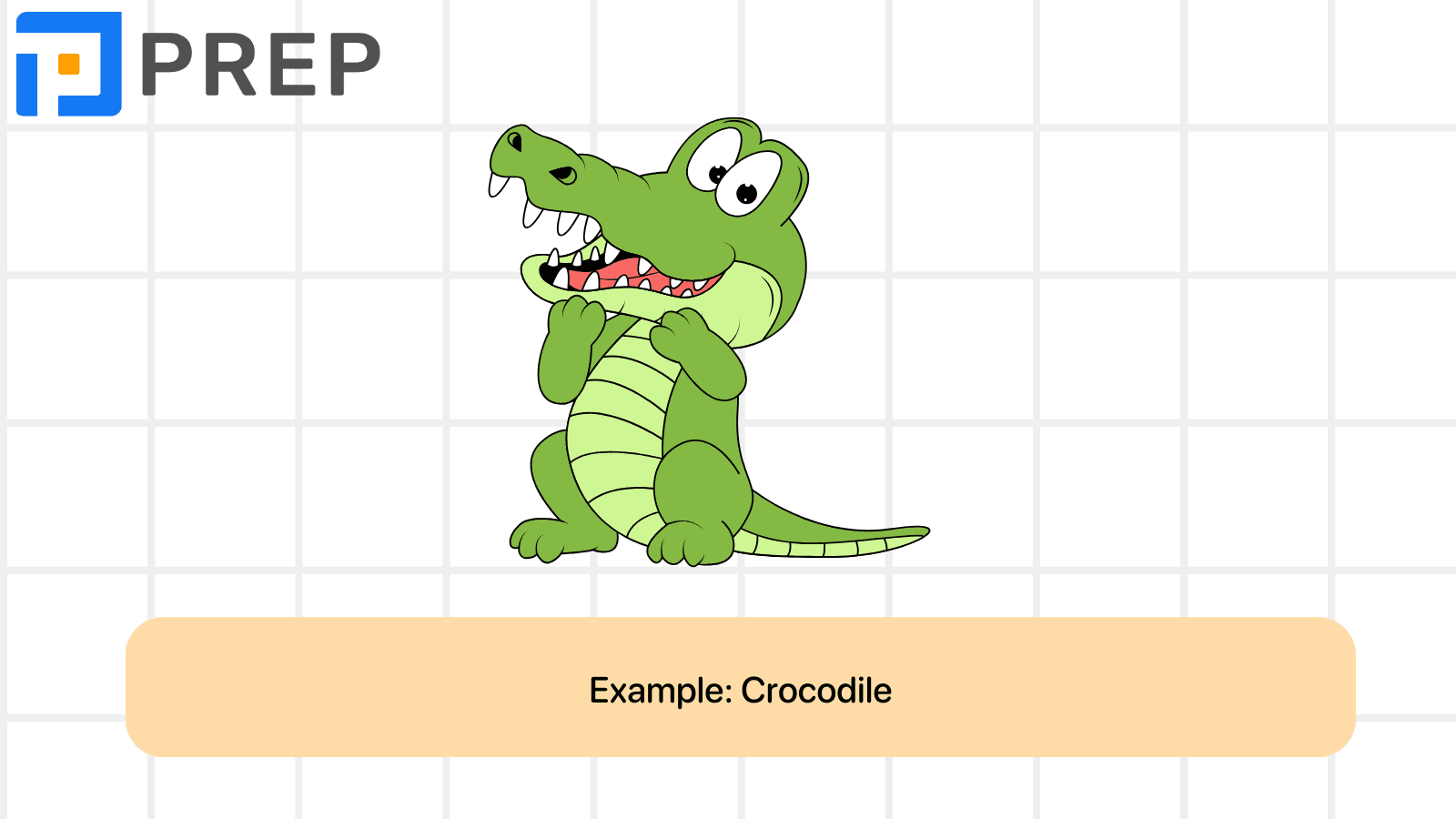 A1 English vocabulary: Animals